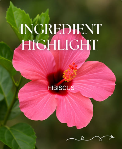 Hibiscus: Nature’s Firming Flower