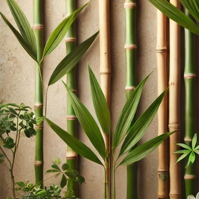 Bamboo - The perfect addition to your sustainable skincare routine.