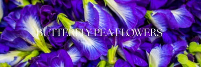 The Beauty of Butterfly Pea Flowers in Skincare