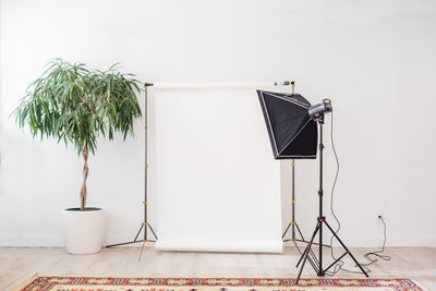 Model Search - November 2020